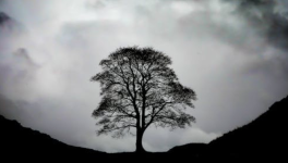 RUSSIA PROBE, Mr Attorney General, and ... friends of Assange