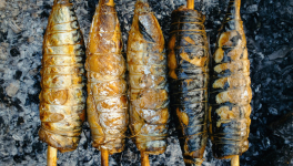 Maquereaux au four en sauce sweet chili