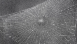 Control Obession into serious Cases