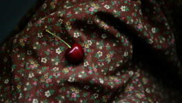 Au milieu des cerises