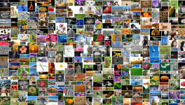 Projet 365