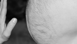 Les pensées de La Béotie