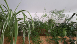 Rêve de l'éco-working