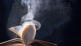 La fugacité d'être...