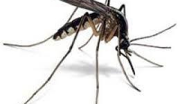 Une Urgence Programmée