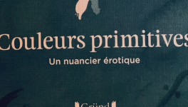 Couleurs primitives