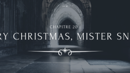 A la Moldue - Chapitre 20 : Merry Christmas, Mister Snape !
