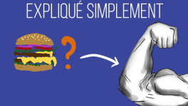 Que doit-on manger pour prendre du muscle ?