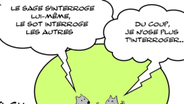 Interrogation , sot et sage