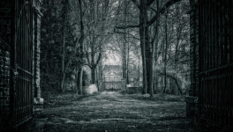 Ce songe me hante...