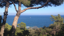 Lettre Ouverte n°2