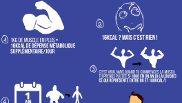 Construit du muscle pour perdre du poids facilement