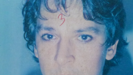 Bashung en moins fort