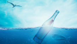BOUTEILLE  A  LA  MER