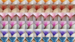 L'humour vient tout seul à l'homme comme les poils au pubis !