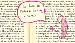 Les Lettres du chien