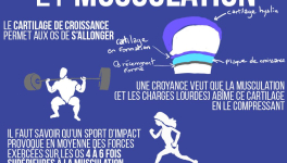 Croissance osseuse et musculation