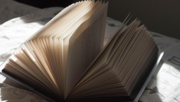 A la recherche de mon public...