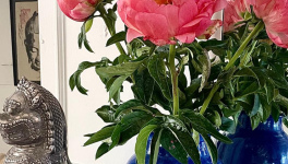 Le bois sacré en sort bonne