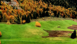Coeur d'Automne