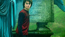 Quand l'univers d'Harry Potter s'invite à Nantes