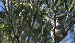 Around, Around and Around ...