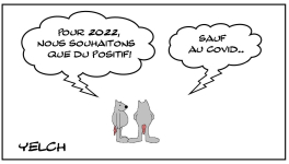 Année 2022 positive mais pas à tout