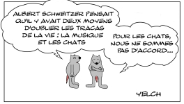 Les rats et les chats et la musique