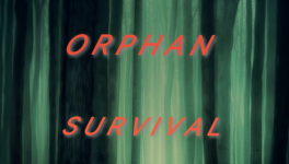 Chapitre 2 - Terrain d'entraînement