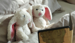 Lapin au Vin Blanc