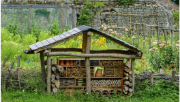 Co-jardinage – Editions Court Bouillon