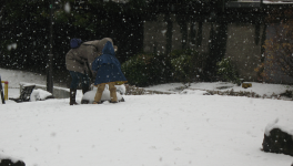 Histoire d'acrostiche...