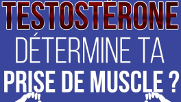 Est-ce que ta testostérone détermine ta prise de muscle ?