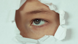 15 - "En lambeaux" : (challenge #LinkTober2025)