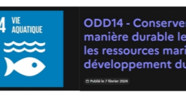 UNOC-3 contre Rainbow Warrior