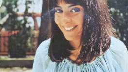  Une cigale dans la fourmilière