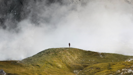 The Girl and the True Tale