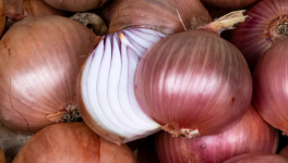 LinkTober2025 : #Oignon