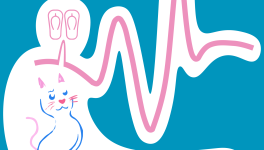 Un jeudi du mois d'août (S1_E1)