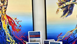 Reflections on Art and Culture: From Diderot's Salons to Panodyssey and Art Explora