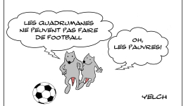 Les rats qui jouaient au foot