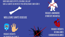 Le lait n'est pas "du pus de vache toxique"