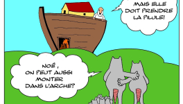 L'arche de Noé , les rats et la pilule