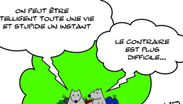 Intelligence et stupidité