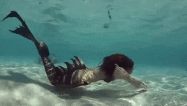 L'humour a non seulement quelque chose de libérateur, mais encore quelque chose de sublime et d'élevé.