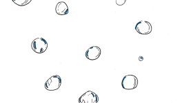 Bulles