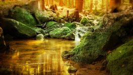 Joyeux anniversaire, Lili