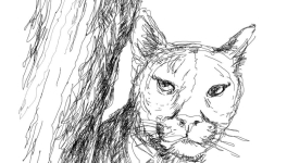 VI. L'Enfant qui Murmurait à l'Oreille des Géants