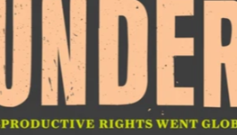 A Presidential Campaign, the (Highly) Classified Documents Case, and the not yet named "COVID19 Case"