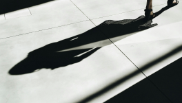 L’ombre de la femme